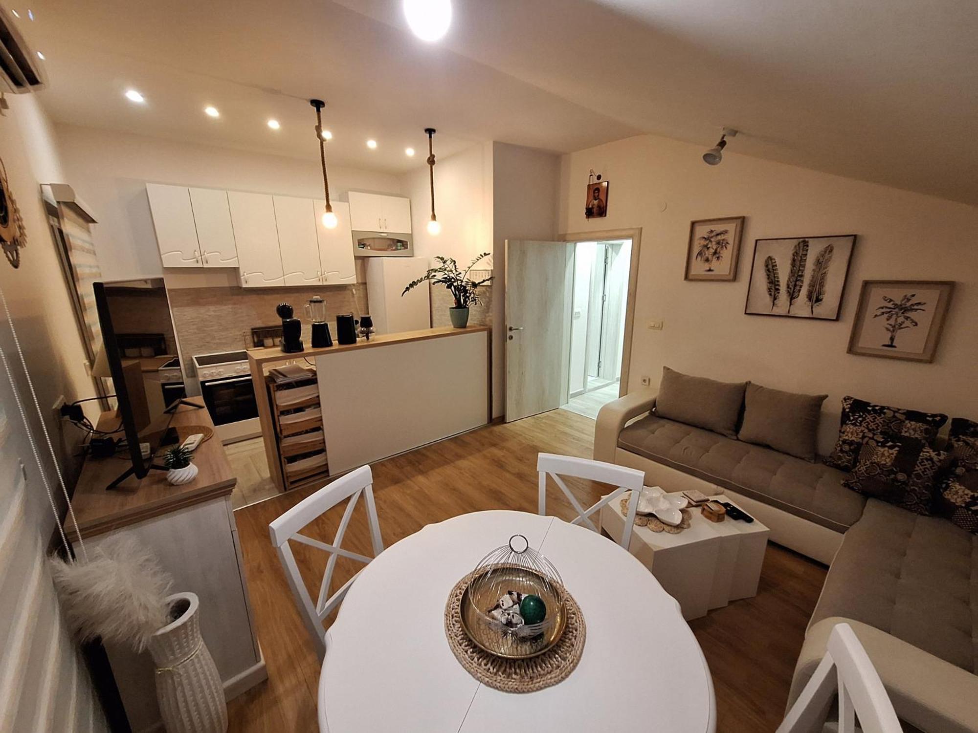 Apartment Vavic 1